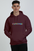 Comfy Unisex Oversized Hooded Sweatshirt - Available in All Sizes & Colors