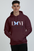 Comfy Unisex Oversized Hooded Sweatshirt - Available in All Sizes & Colors